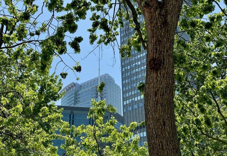 Green finance in commercial property | Newmanor Law