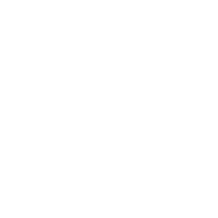 Newmanor-icons-white-brain