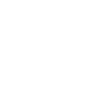 Newmanor-icons-white-money